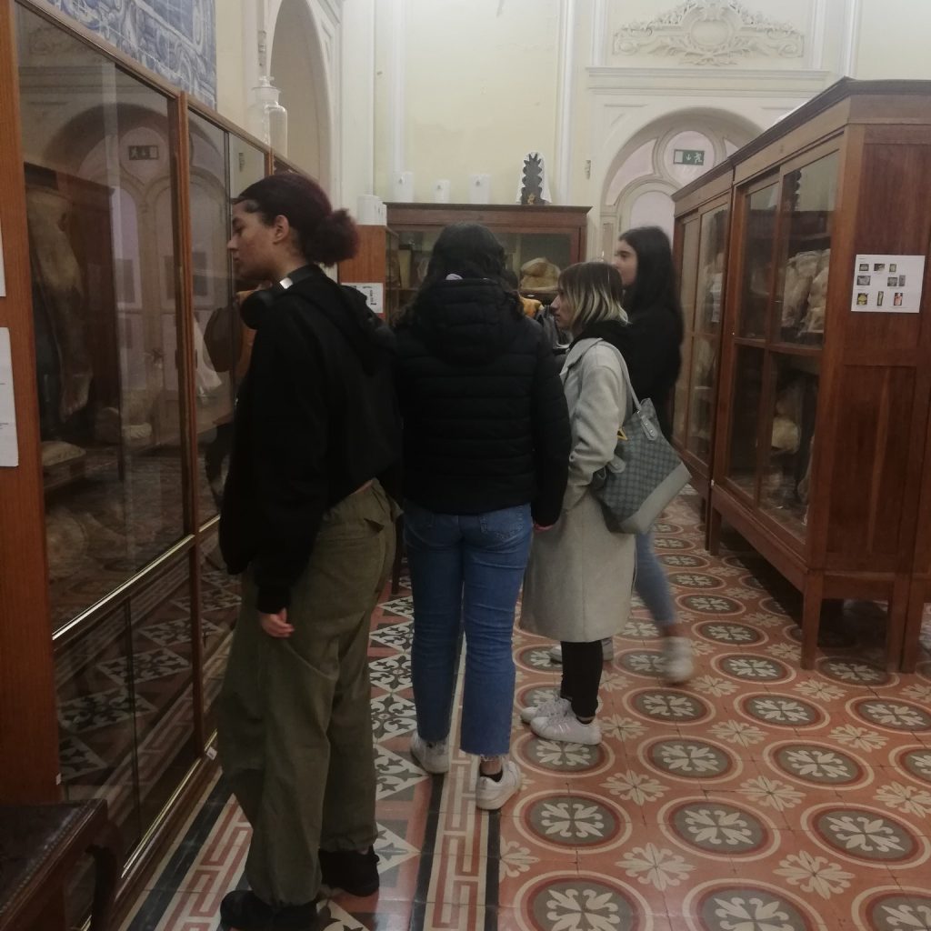 Visita de estudo ao museu da Dermatologia Portuguesa EPC