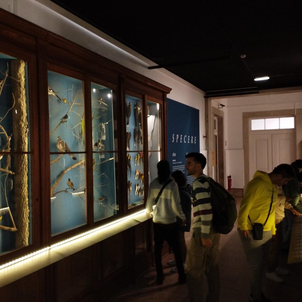 Visita de Estudo ao Museu Nacional de História Natural e da Ciência e Jardim Botânico de Lisboa