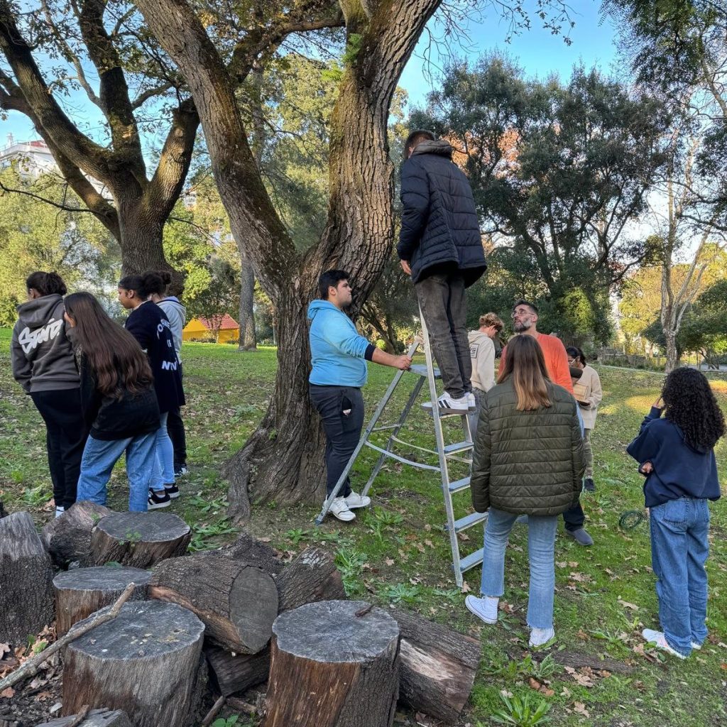 Alunos do 10.º ano de TMEBE promovem biodiversidade urbana no Parque Bensaúde photo
